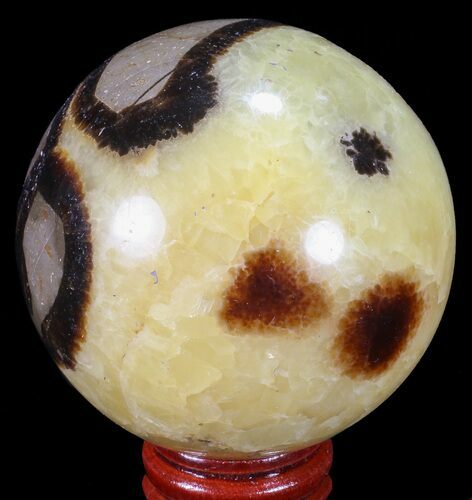 Polished Septarian Sphere - Madagascar #67848